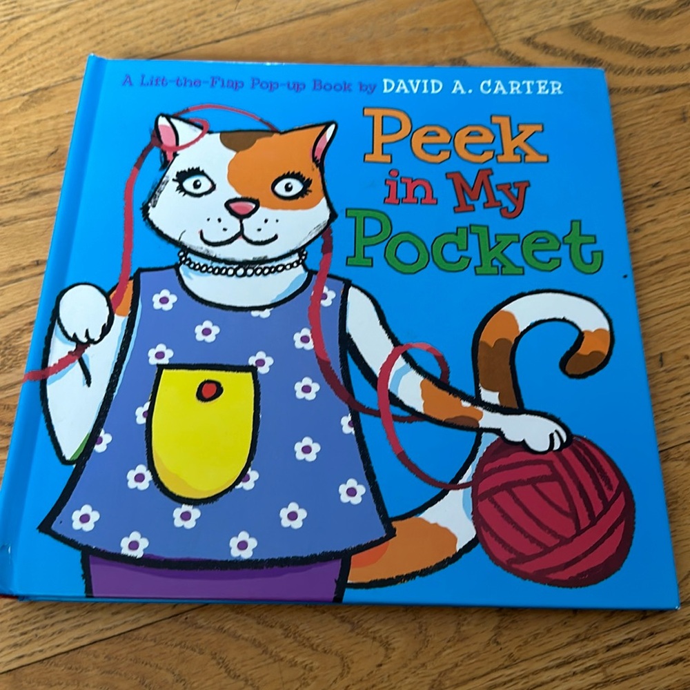 Pop Up Book Peek in My Pocket.